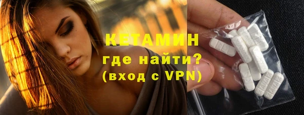 стафф Дмитриев