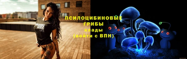 стафф Дмитриев