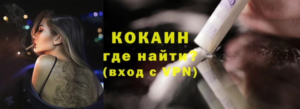 стафф Дмитриев