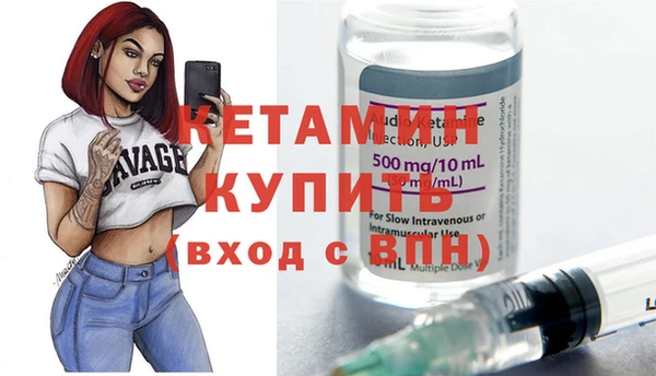 стафф Дмитриев